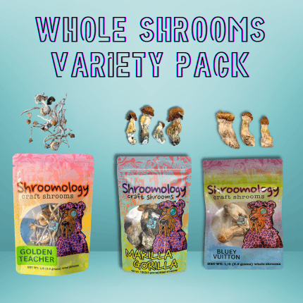 Whole Shrooms Variety Pack 10.5g – (1 of each strain Golden Teacher Makilla Gorilla Bluey Vuitton)