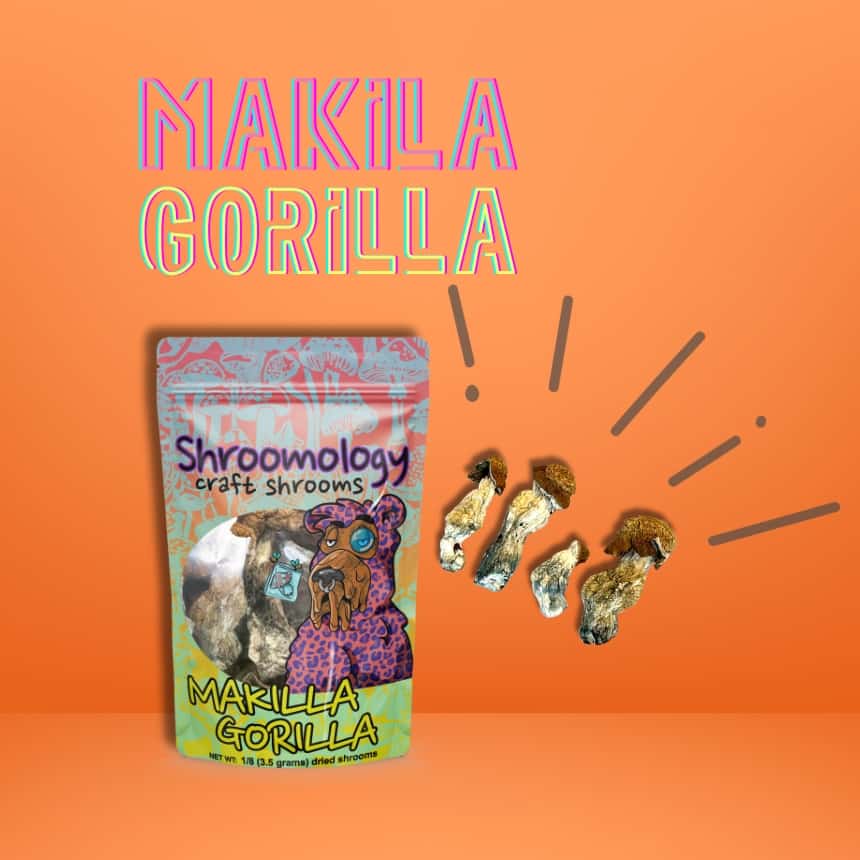 “MAKILLA GORILLA” Whole Shrooms