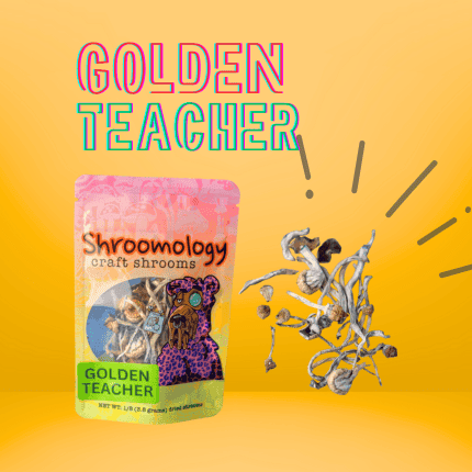 “GOLDEN TEACHER” Whole Shrooms