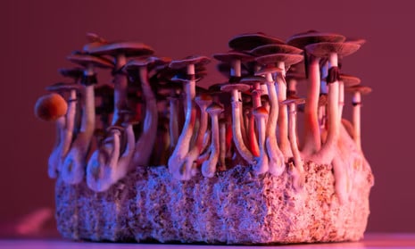 Magic Mushrooms History