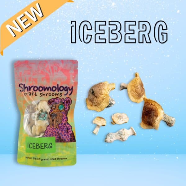 ICEBERG psilocybin magic mushrooms